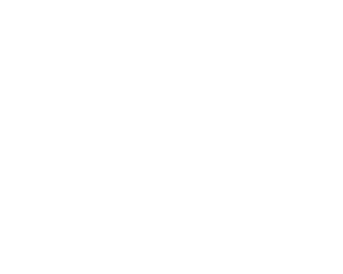 BOYSEN & BRANDS Logo in Weiß